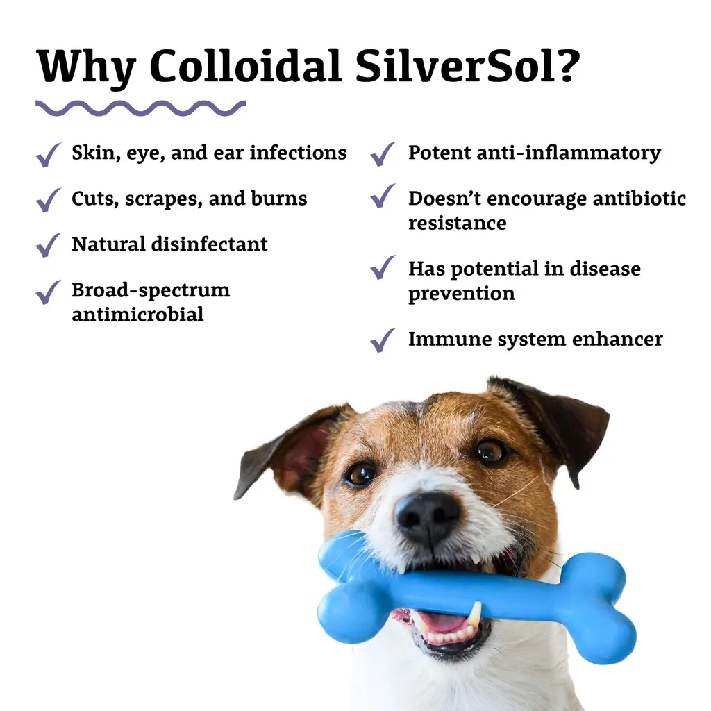Adored Beast Colloidal SilverSol (10 PPM) | Antiviral Anti-fungal Natural Antibiotics Immune Support | Holistic Healthcare for Dogs and Cats