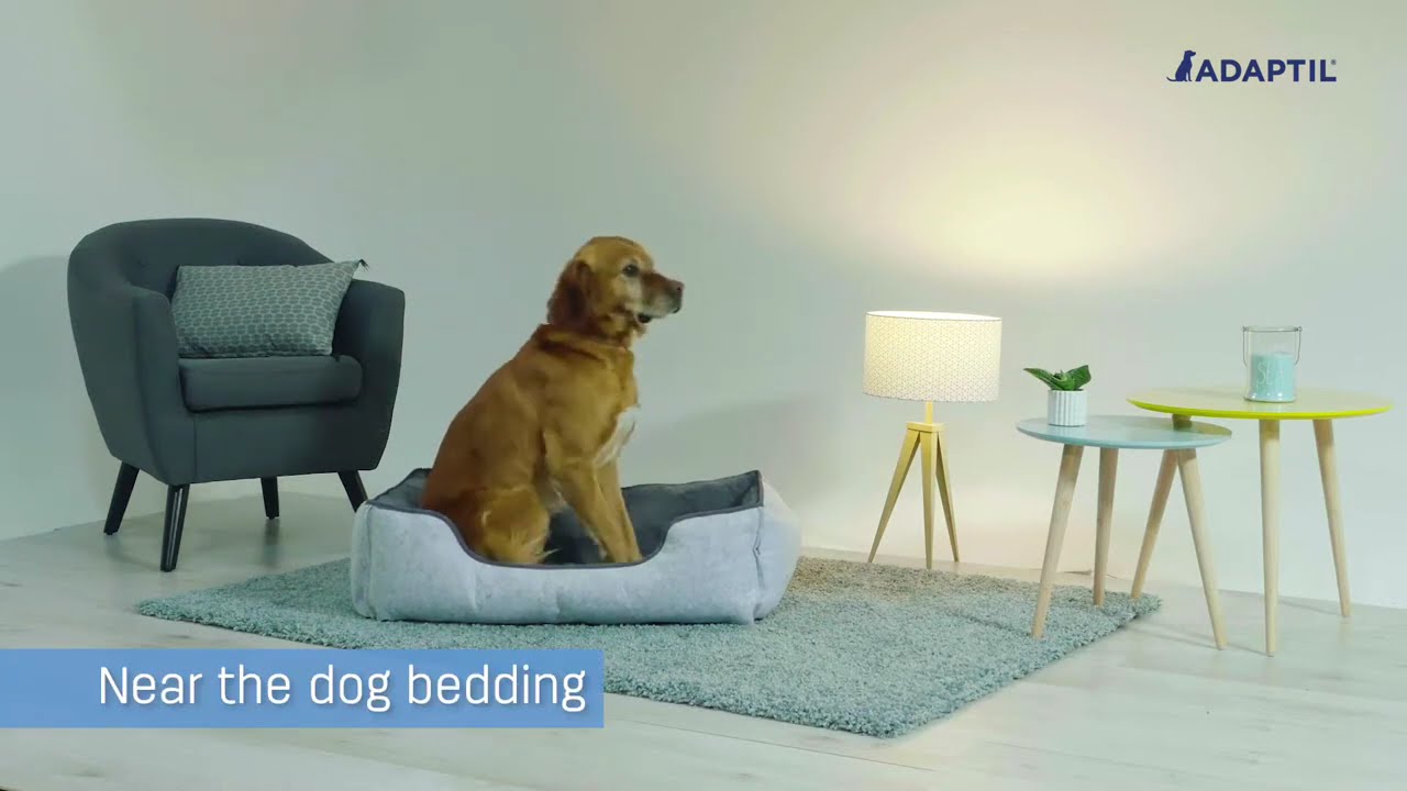 ADAPTIL Calm Diffuser | Separation Anxiety Stress Relief | Holistic Healthcare for Dogs