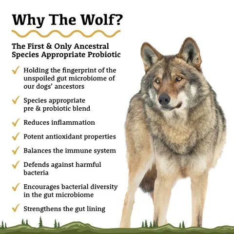 Adored Beast The Wolf | Ancestral Species Appropriate Pre & Probiotics Immune Modulator | Holistic Healthcare for Dogs
