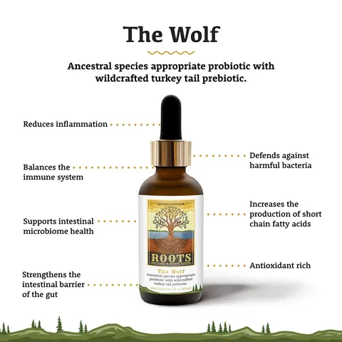 Adored Beast The Wolf | Ancestral Species Appropriate Pre & Probiotics Immune Modulator | Holistic Healthcare for Dogs