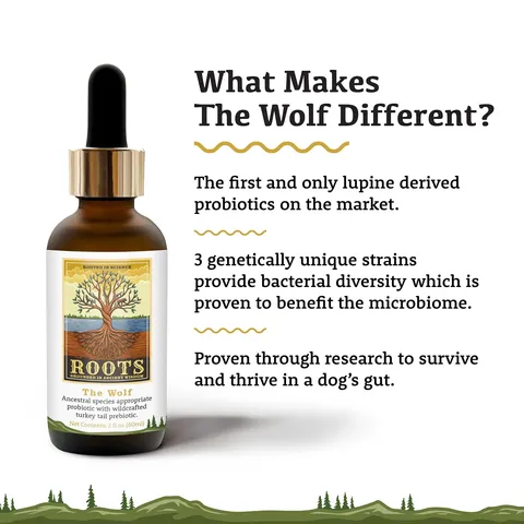 Adored Beast The Wolf | Ancestral Species Appropriate Pre & Probiotics Immune Modulator | Holistic Healthcare for Dogs