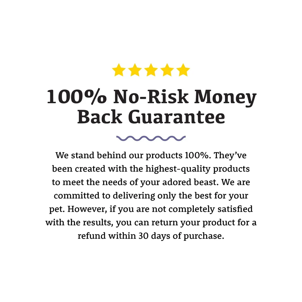 Adored Beast Colloidal SilverSol (10 PPM) | Antiviral Anti-fungal Natural Antibiotics Immune Support | Holistic Healthcare for Dogs and Cats