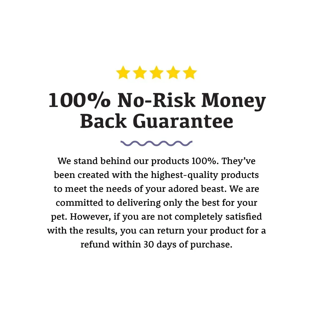 Adored Beast Colloidal SilverSol (10 PPM) | Antiviral Anti-fungal Natural Antibiotics Immune Support | Holistic Healthcare for Dogs and Cats