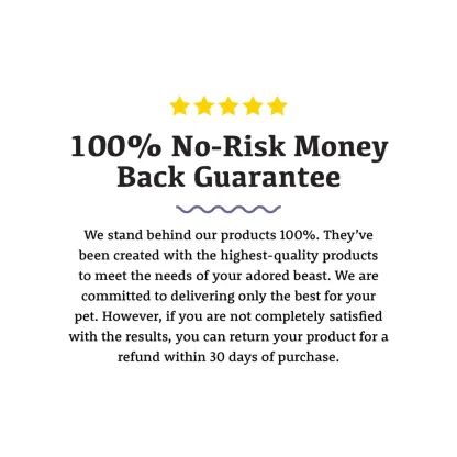 Adored Beast Colloidal SilverSol (10 PPM) | Antiviral Anti-fungal Natural Antibiotics Immune Support | Holistic Healthcare for Dogs and Cats
