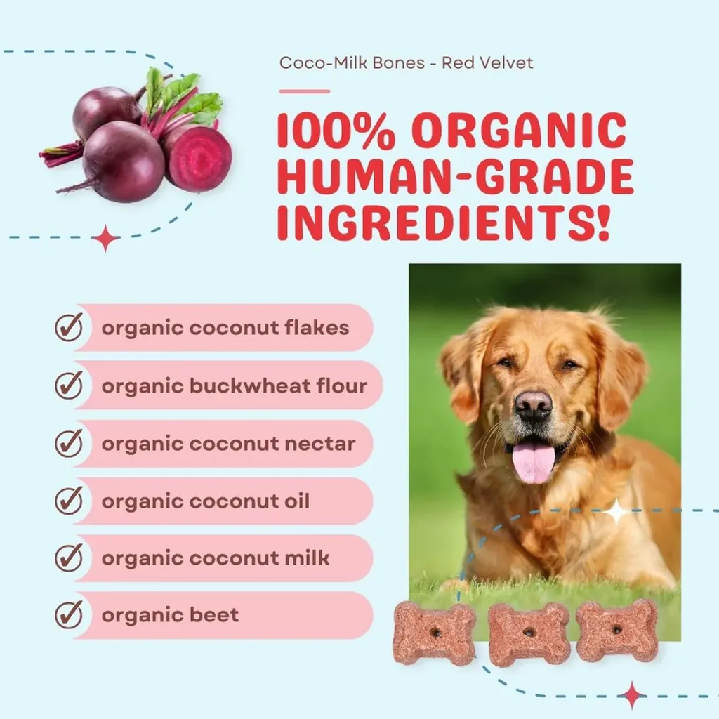 CocoTherapy Organic Coco-Milk Bones Cookies | Vegan Grain Gluten-Free Coconut Baked Treats For Dogs | Premium Pet Treats