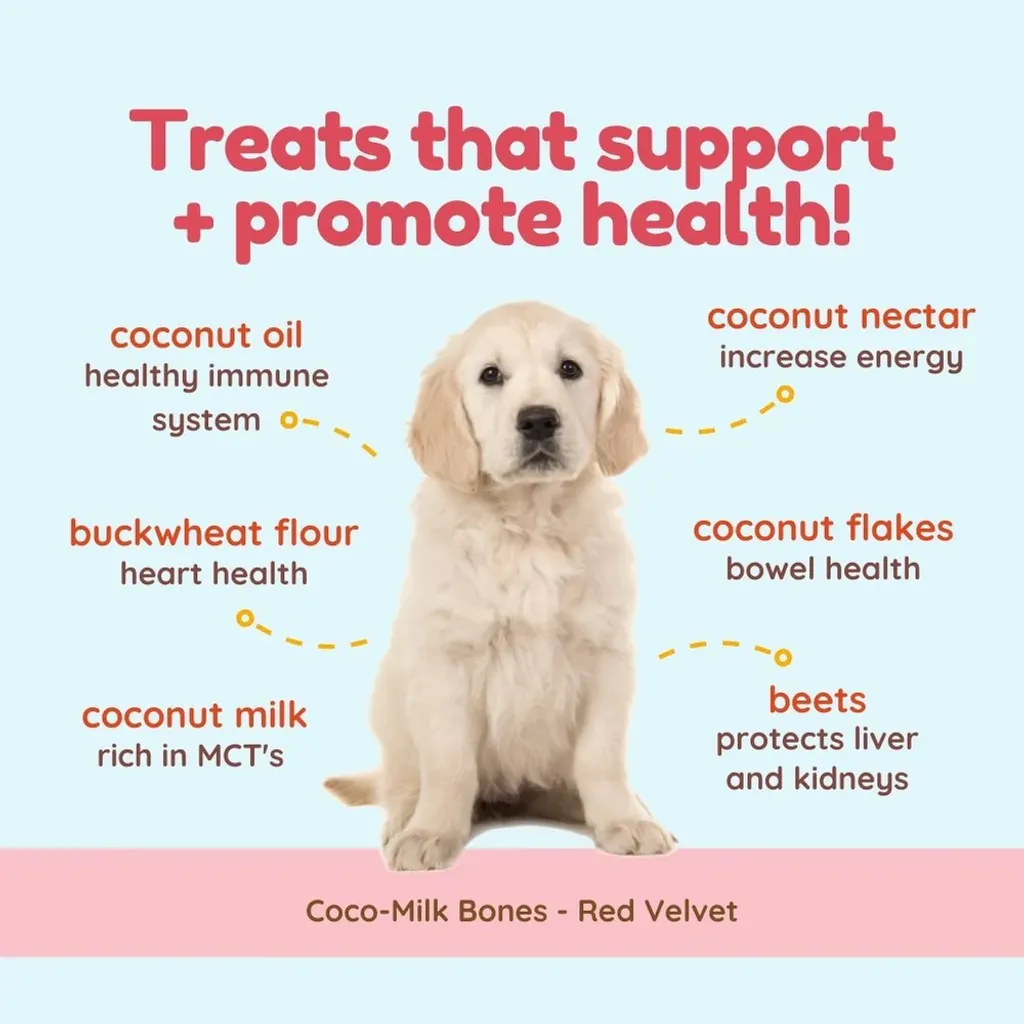 CocoTherapy Organic Coco-Milk Bones Cookies | Vegan Grain Gluten-Free Coconut Baked Treats For Dogs | Premium Pet Treats