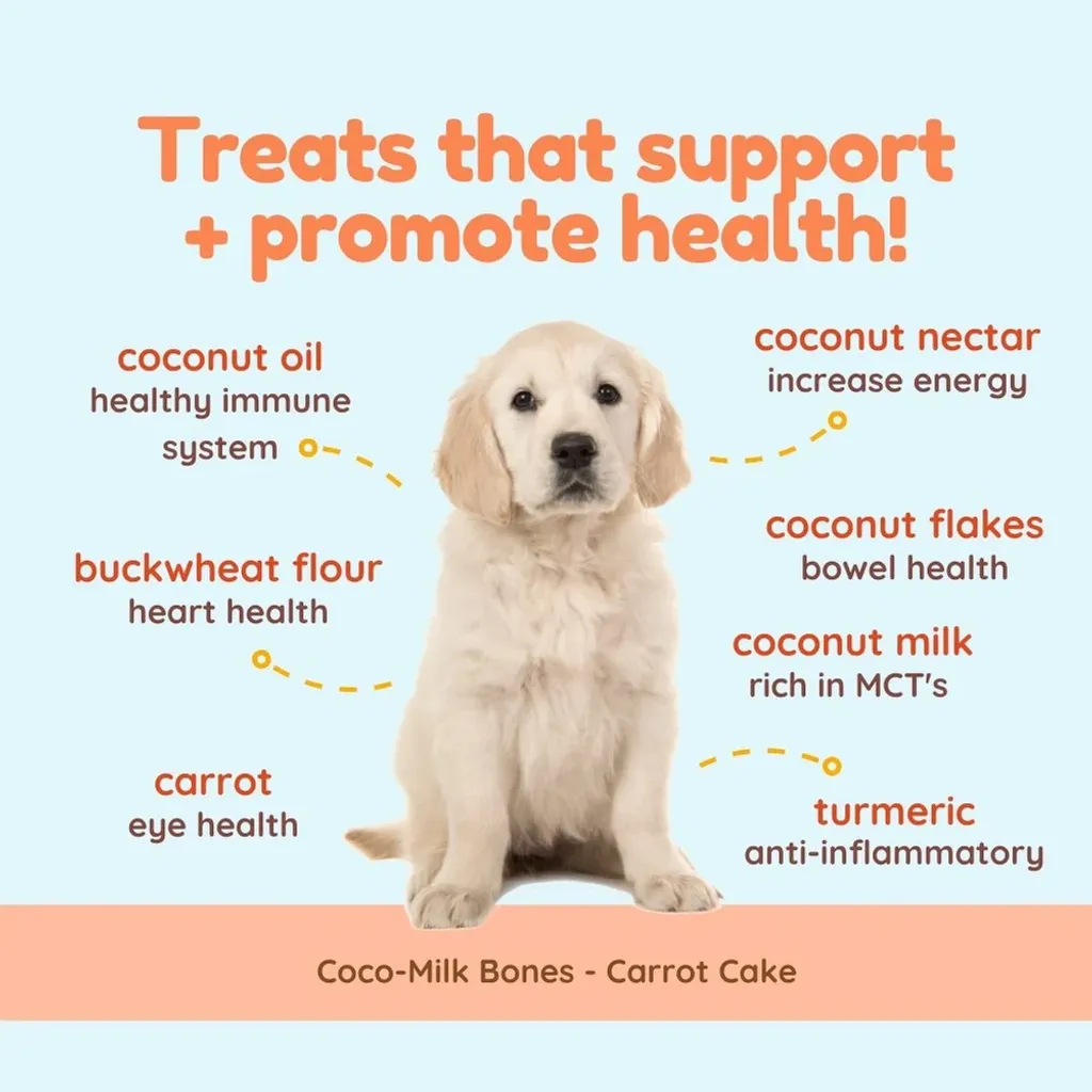 CocoTherapy Organic Coco-Milk Bones Cookies | Vegan Grain Gluten-Free Coconut Baked Treats For Dogs | Premium Pet Treats