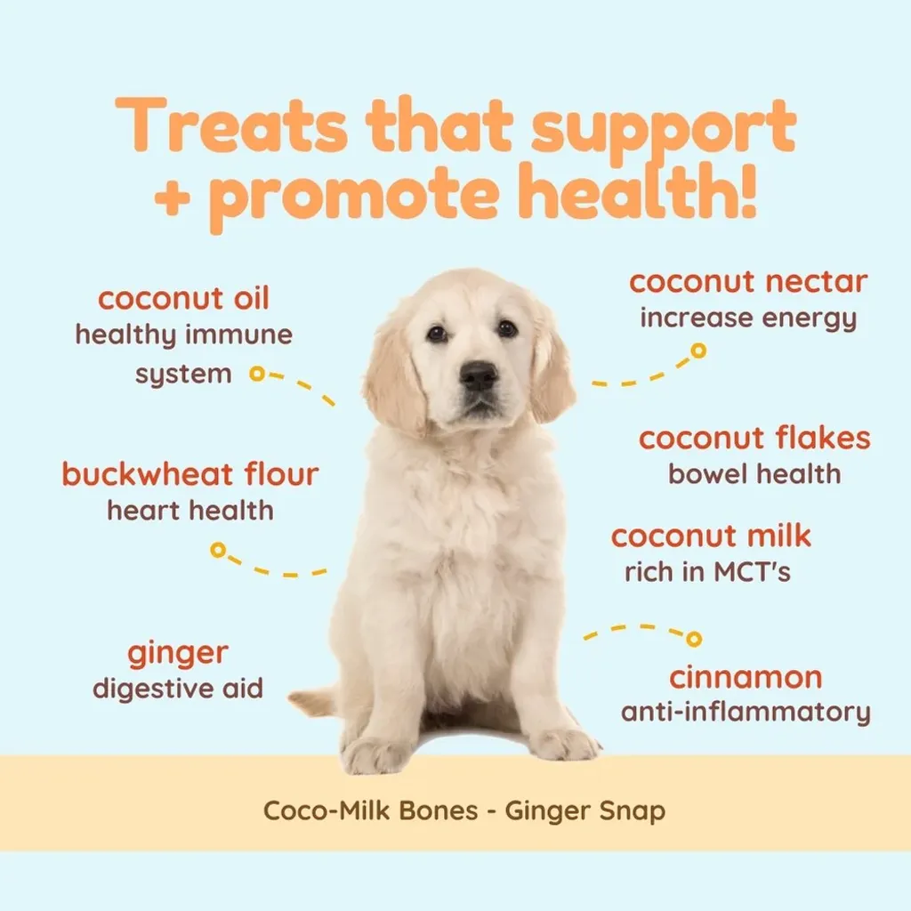 CocoTherapy Organic Coco-Milk Bones Cookies | Vegan Grain Gluten-Free Coconut Baked Treats For Dogs | Premium Pet Treats