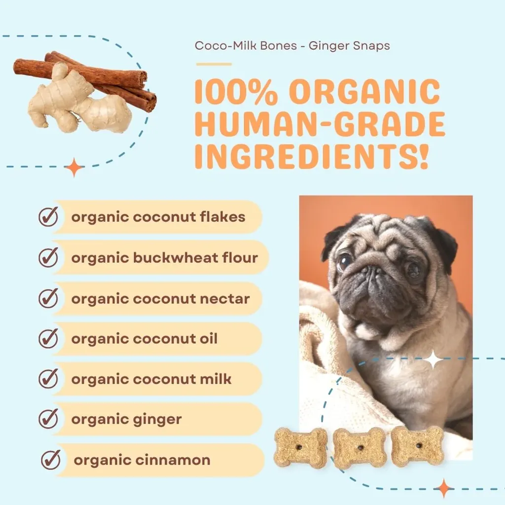 CocoTherapy Organic Coco-Milk Bones Cookies | Vegan Grain Gluten-Free Coconut Baked Treats For Dogs | Premium Pet Treats