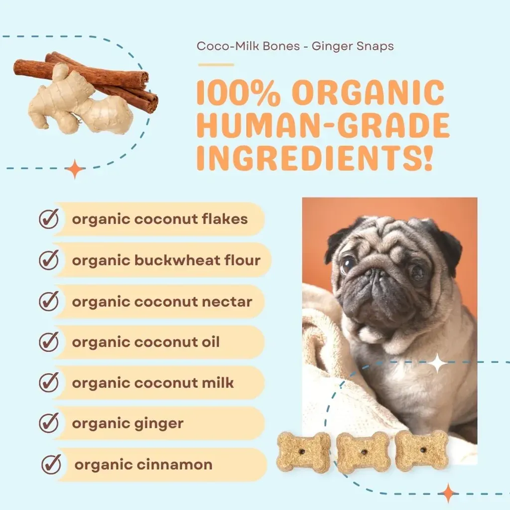 CocoTherapy Organic Coco-Milk Bones Cookies | Vegan Grain Gluten-Free Coconut Baked Treats For Dogs | Premium Pet Treats