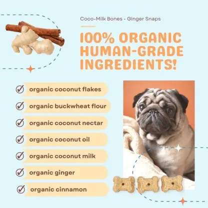 CocoTherapy Organic Coco-Milk Bones Cookies | Vegan Grain Gluten-Free Coconut Baked Treats For Dogs | Premium Pet Treats