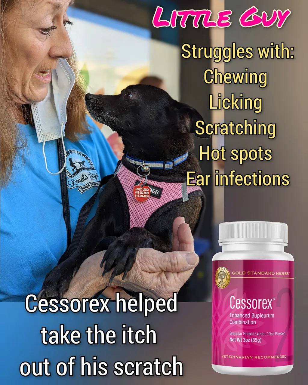Gold Standard Herbs Cessorex | Allergies Skin & Coat Immune Support | Holistic Healthcare for Dogs and Cats