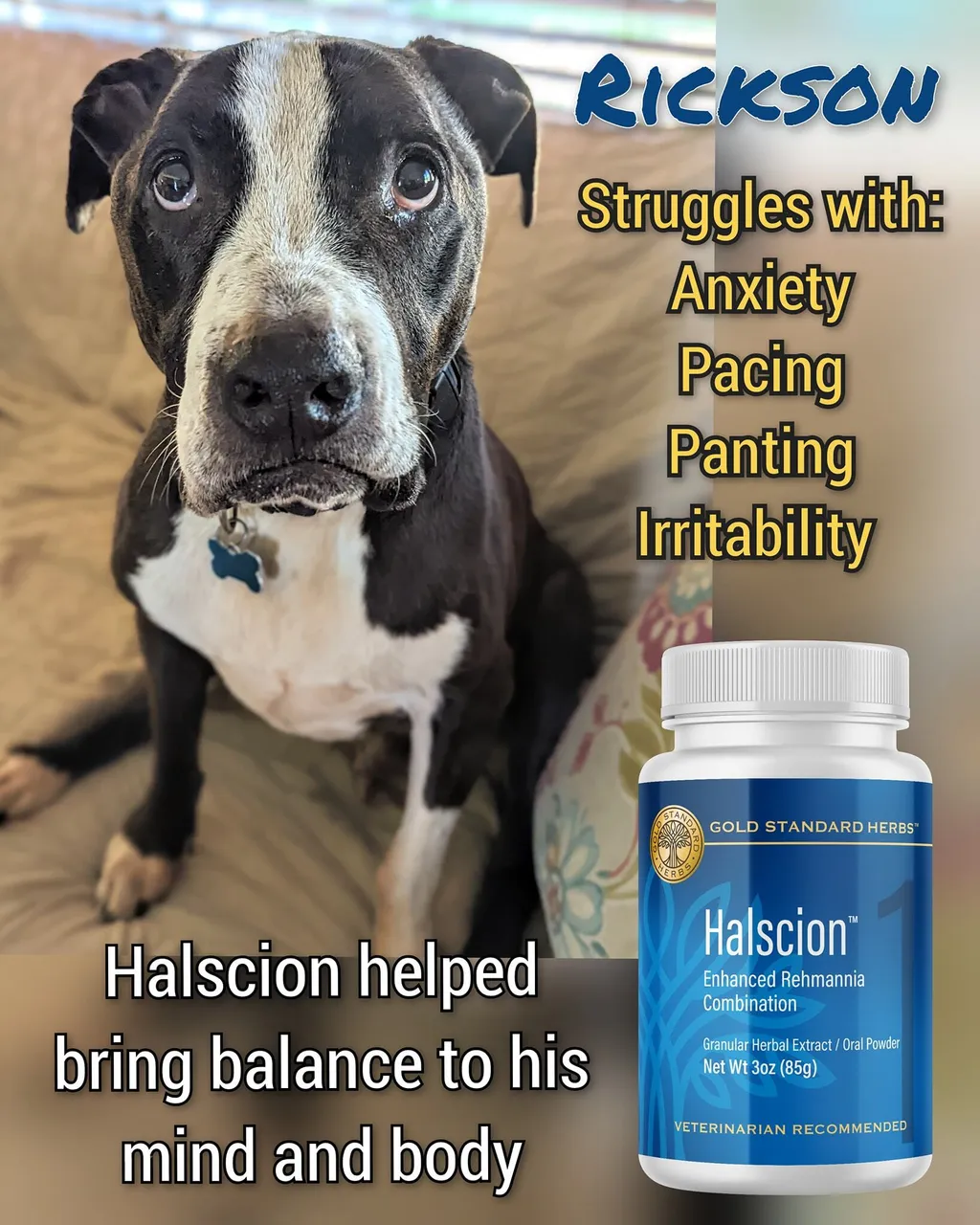 Gold Standard Herbs Halscion | Anxiety Stress Adrenal Brain Support | Holistic Healthcare for Dogs, Cats and Pet Parents