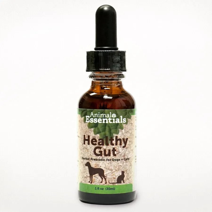 Animal Essentials Healthy Gut (1oz) | Prebiotic Gut Support | Holistic Healthcare for Dogs & Cats