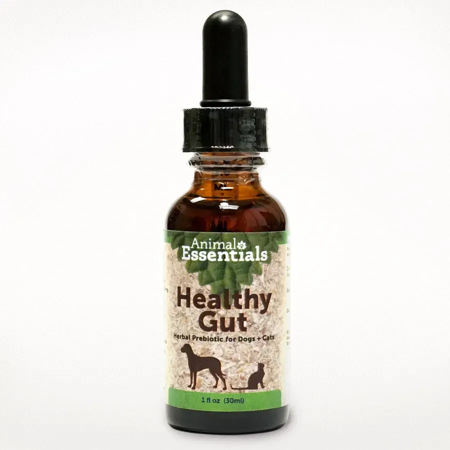 Animal Essentials Healthy Gut (1oz) | Prebiotic Gut Support | Holistic Healthcare for Dogs & Cats