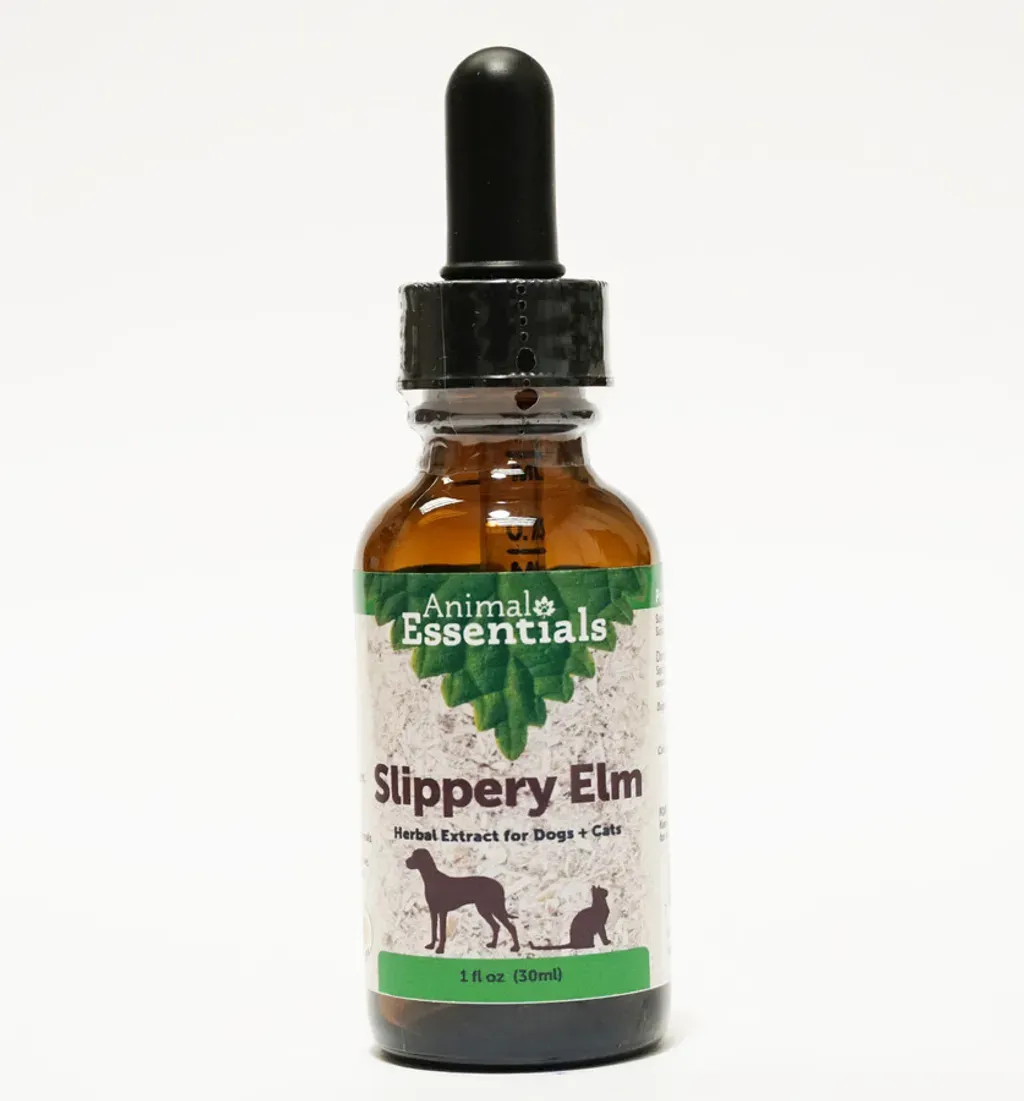 Animal Essentials Slippery Elm (1oz) | Digestive Diarrhea IBD Coughing Support | Holistic Healthcare for Dogs & Cats