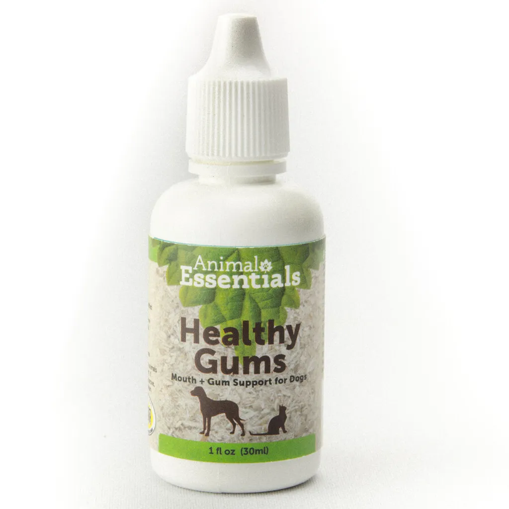 Animal Essentials Healthy Gum (1oz) | Oral Health Support | Natural Pet Grooming Essentials