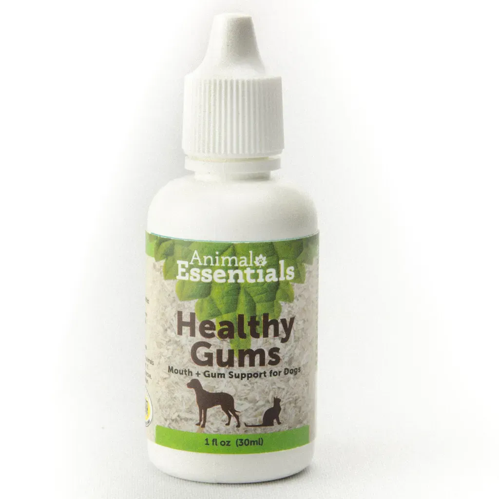 Animal Essentials Healthy Gum (1oz) | Oral Health Support | Natural Pet Grooming Essentials