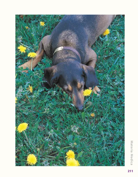 Herbalist Greg Tilford Book - Herbs for Pets : The Natural Way to Enhance Your Pet’s Life Pet | Natural Care & Health Support Book