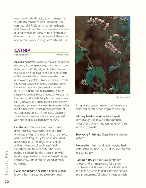 Herbalist Greg Tilford Book - Herbs for Pets : The Natural Way to Enhance Your Pet’s Life Pet | Natural Care & Health Support Book