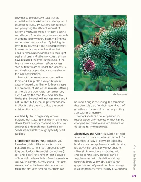 Herbalist Greg Tilford Book - Herbs for Pets : The Natural Way to Enhance Your Pet’s Life Pet | Natural Care & Health Support Book