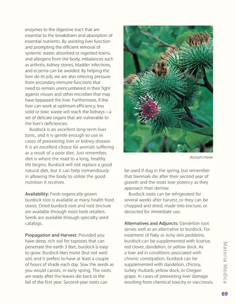Herbalist Greg Tilford Book - Herbs for Pets : The Natural Way to Enhance Your Pet’s Life Pet | Natural Care & Health Support Book
