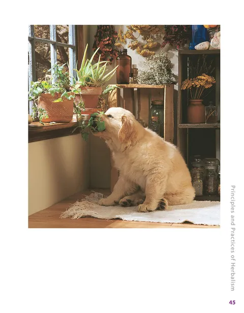 Herbalist Greg Tilford Book - Herbs for Pets : The Natural Way to Enhance Your Pet’s Life Pet | Natural Care & Health Support Book