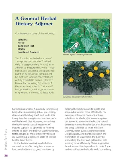 Herbalist Greg Tilford Book - Herbs for Pets : The Natural Way to Enhance Your Pet’s Life Pet | Natural Care & Health Support Book