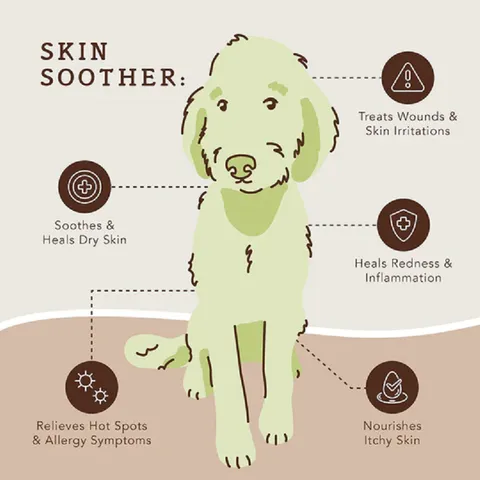 Natural Dog Company Skin Soother (Stick) | Skin Healing Balm | Natural Dog Grooming Essentials