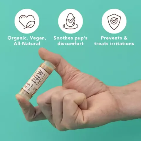 Natural Dog Company Paw Soother (Stick) | Paw Healing Balm | Natural Dog Grooming Essentials