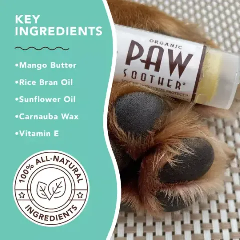 Natural Dog Company Paw Soother (Stick) | Paw Healing Balm | Natural Dog Grooming Essentials