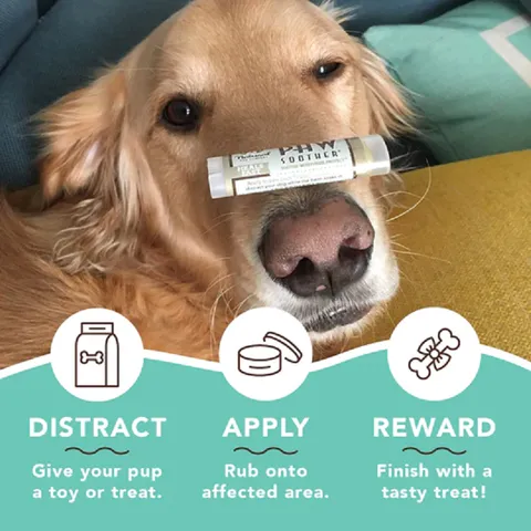 Natural Dog Company Paw Soother (Stick) | Paw Healing Balm | Natural Dog Grooming Essentials