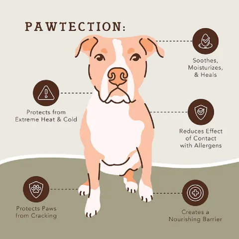 Natural Dog Company PawTection (Stick) | Paw Protection Balm | Natural Dog Grooming Essentials