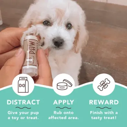 Natural Dog Company PawTection (Stick) | Paw Protection Balm | Natural Dog Grooming Essentials