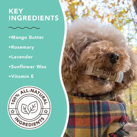 Natural Dog Company PawTection (Stick) | Paw Protection Balm | Natural Dog Grooming Essentials