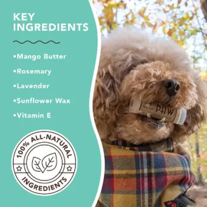Natural Dog Company PawTection (Stick) | Paw Protection Balm | Natural Dog Grooming Essentials