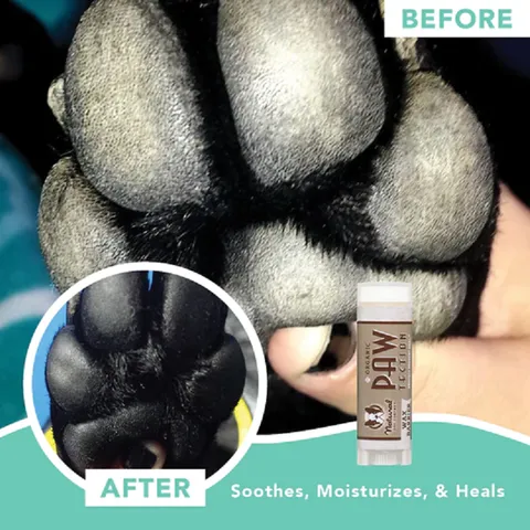 Natural Dog Company PawTection (Stick) | Paw Protection Balm | Natural Dog Grooming Essentials