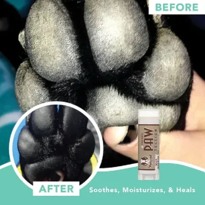 Natural Dog Company PawTection (Stick) | Paw Protection Balm | Natural Dog Grooming Essentials