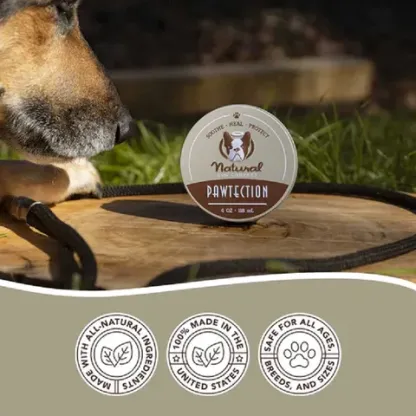 Natural Dog Company PawTection (Tin) | Paw Protection Balm | Natural Dog Grooming Essentials