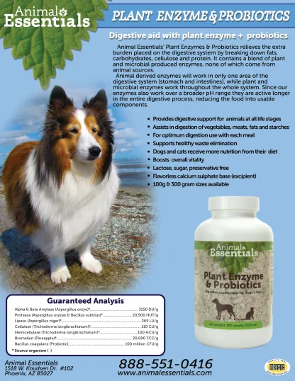 Animal Essentials Plant Enzyme & Probiotics | Digestive Pancreatitis Support | Holistic Healthcare for Dogs & Cats