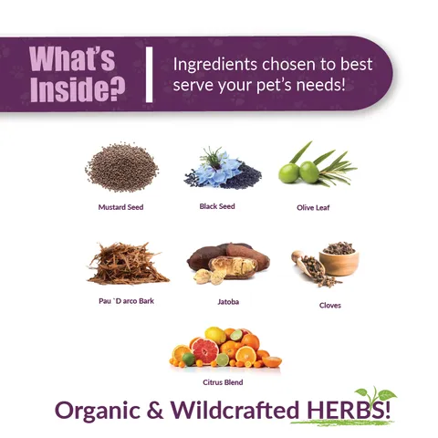 Amber Naturalz Vibactra Plus Immune Support | Yeast Support | Holistic Healthcare for Dog and Cats