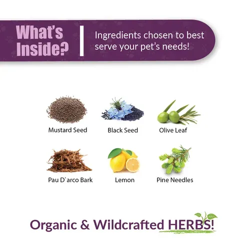 Amber Naturalz UTR™ Urinary Tract Support | Urinary Tract Support | Holistic Healthcare for Dogs and Cats