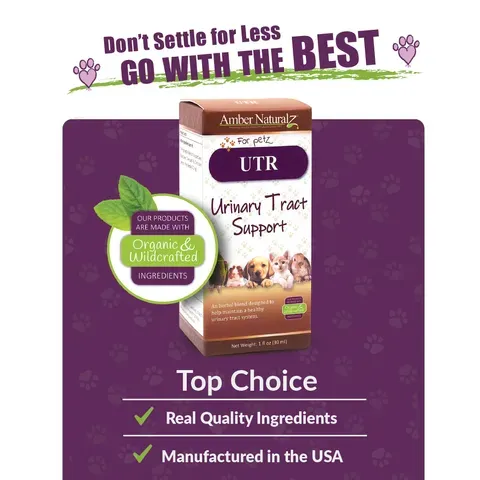 Amber Naturalz UTR™ Urinary Tract Support | Urinary Tract Support | Holistic Healthcare for Dogs and Cats