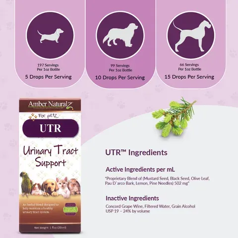 Amber Naturalz UTR™ Urinary Tract Support | Urinary Tract Support | Holistic Healthcare for Dogs and Cats
