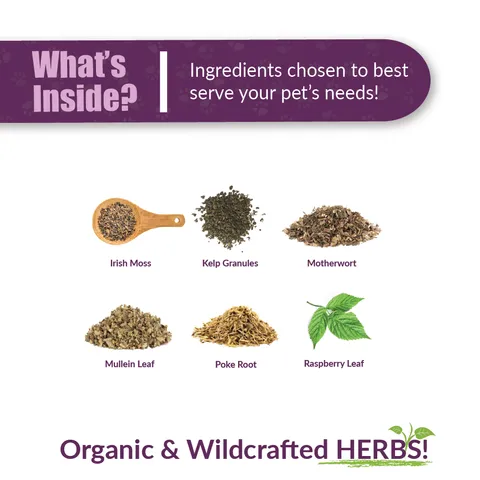 Amber Naturalz TYD™ Thyroid Balance | Thyroid, Hormones Support | Holistic Healthcare for Dogs and Cats