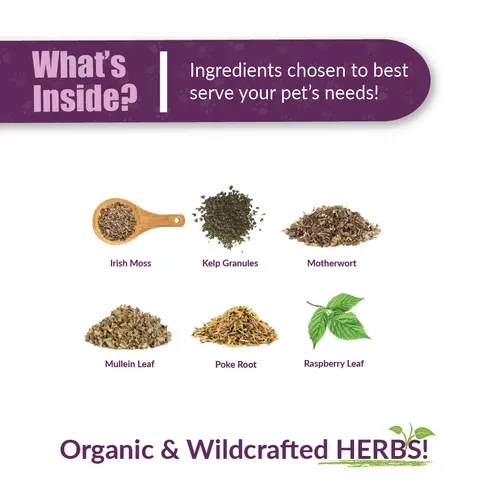 Amber Naturalz TYD™ Thyroid Balance | Thyroid, Hormones Support | Holistic Healthcare for Dogs and Cats