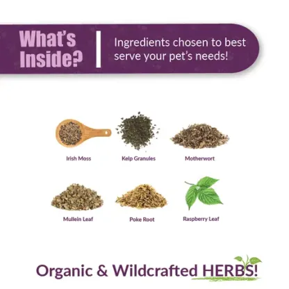 Amber Naturalz TYD™ Thyroid Balance | Thyroid, Hormones Support | Holistic Healthcare for Dogs and Cats