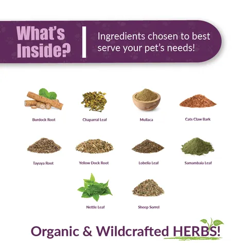 Amber Naturalz Tumoxil Deep Skin Health | Tumour, Mass Cell, Cancer Support | Holistic Healthcare for Dogs