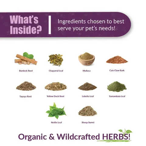 Amber Naturalz Tumoxil Deep Skin Health | Tumour, Mass Cell, Cancer Support | Holistic Healthcare for Dogs