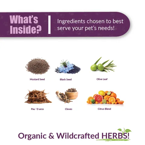 Amber Naturalz Tossa K™ Kennel Bark | Kennel Cough, Lungs Support | Holistic Healthcare for Dogs